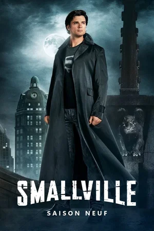 Affiche de Saison 9