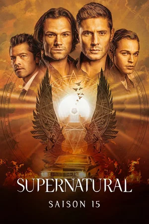 Affiche de Saison 15