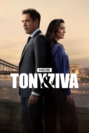 Affiche de Saison 1