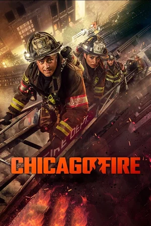 Affiche de Saison 13