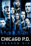 Affiche de Saison 6