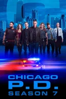 Affiche de Saison 7