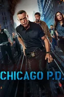 Affiche de Saison 12