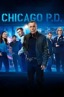 Affiche de Saison 13