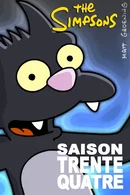 Affiche de Saison 34