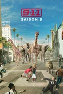 Affiche de Saison 5