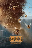 Affiche de Saison 8
