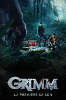 Affiche de Saison 1