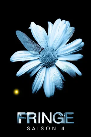 Affiche de Saison 4
