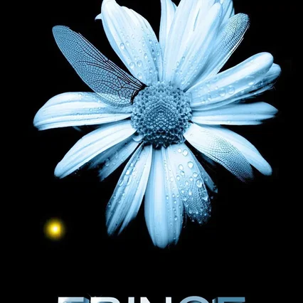Photo de la saison 4 : Fringe