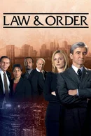 Affiche de Saison 14