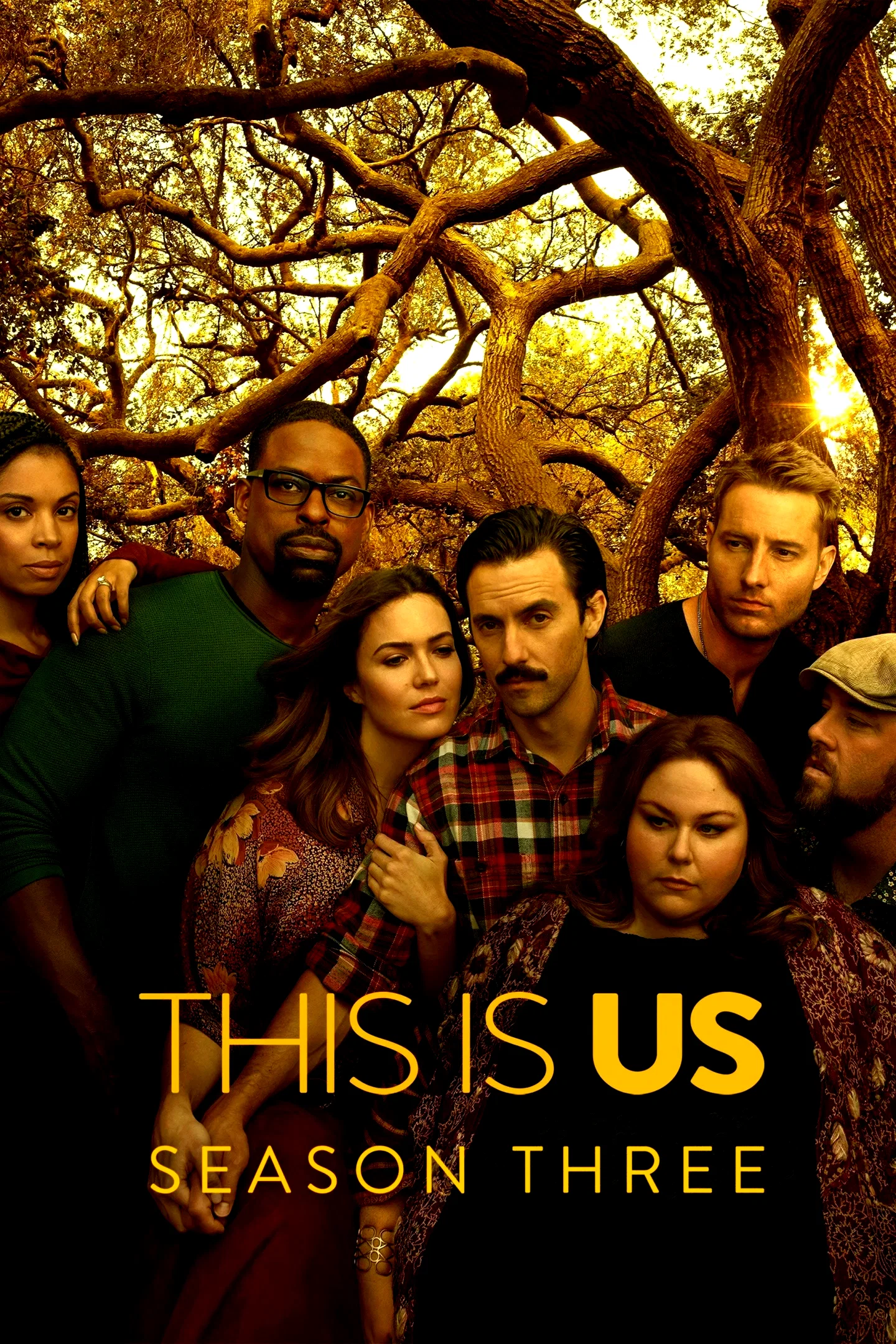 Photo de la saison 3 : This is Us
