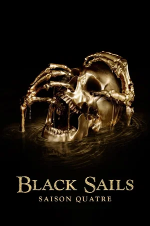 Affiche de Saison 4