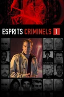 Affiche de Saison 1