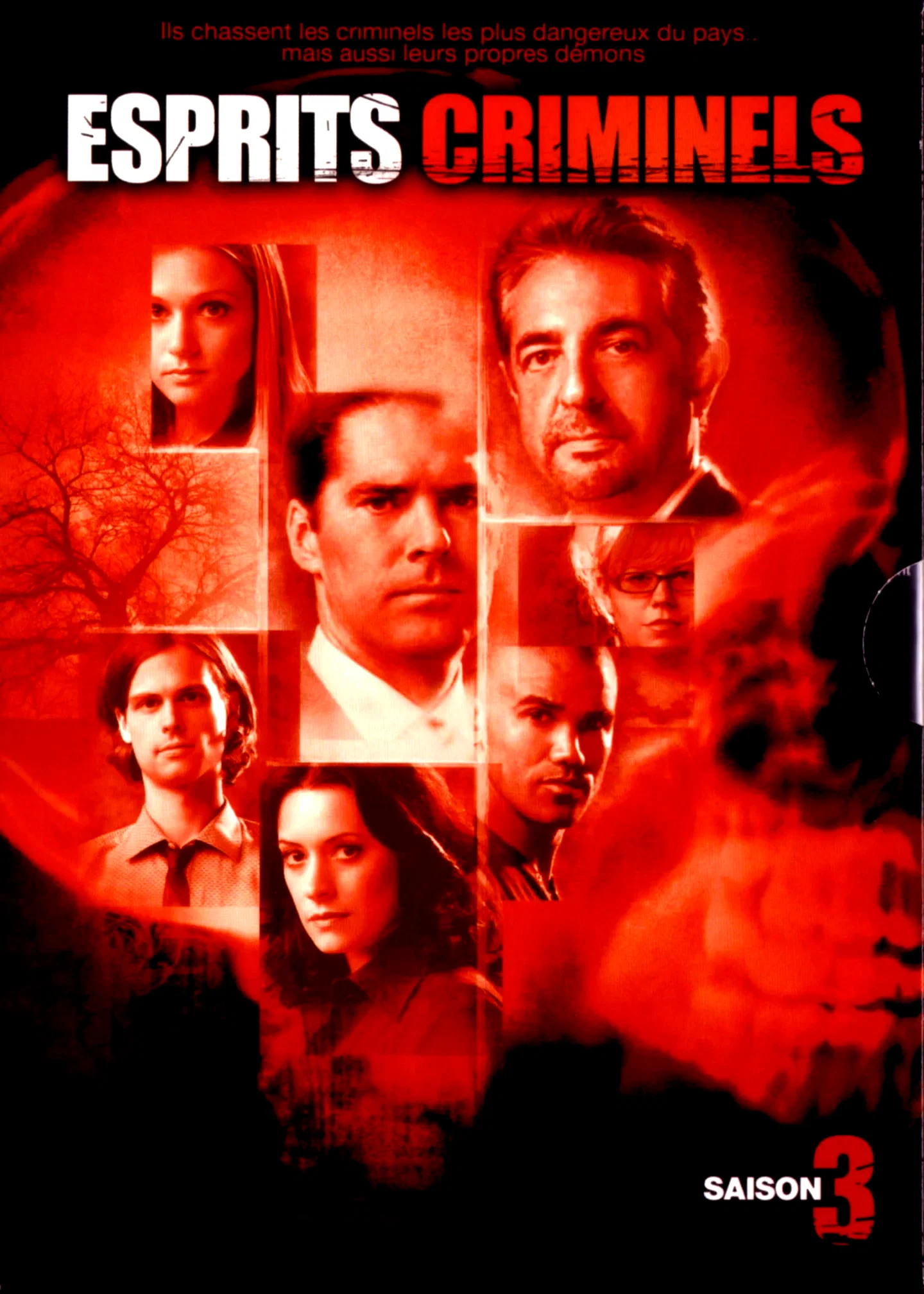 Photo de la saison 3 : Esprits criminels