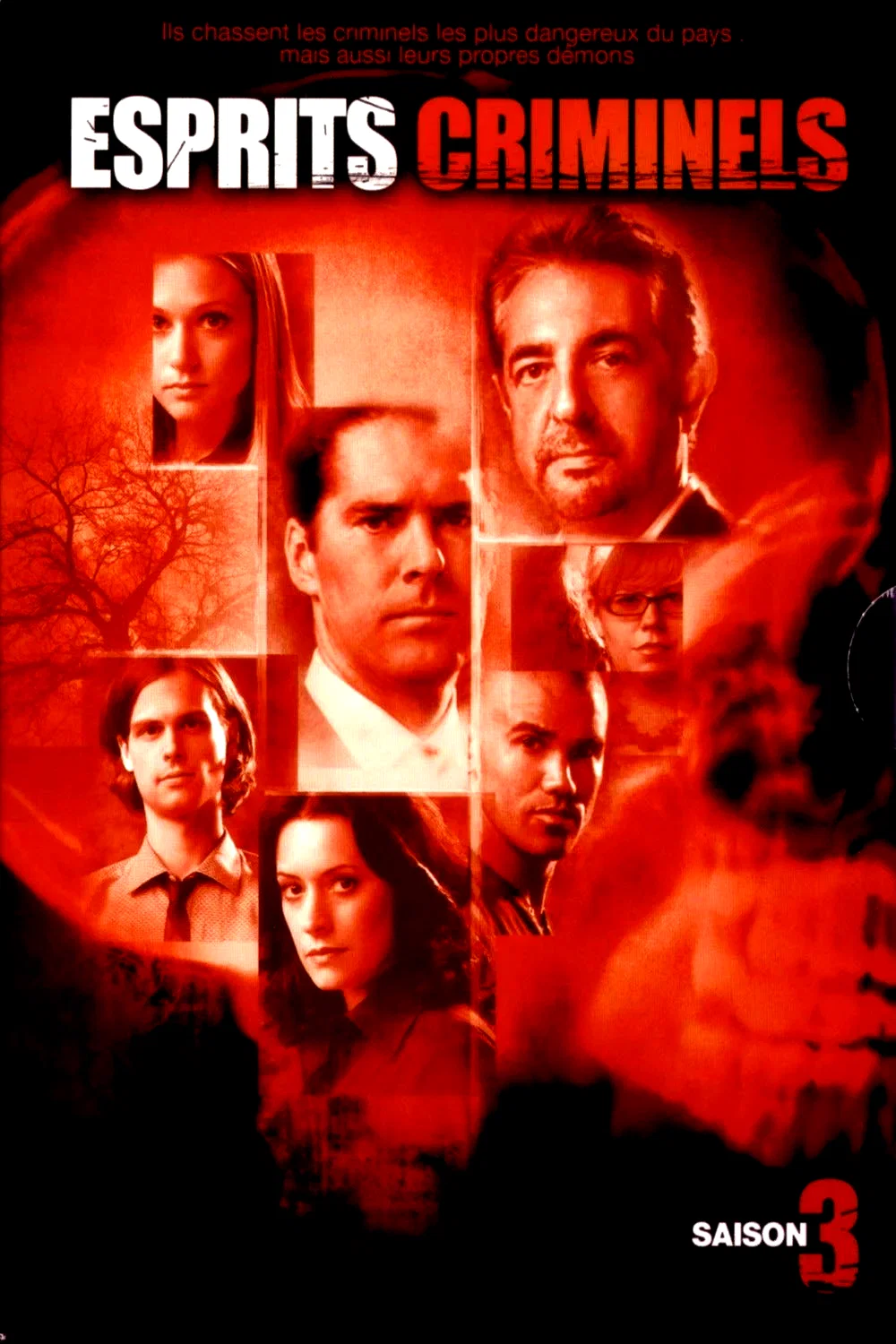 Photo de la saison 3 : Esprits criminels
