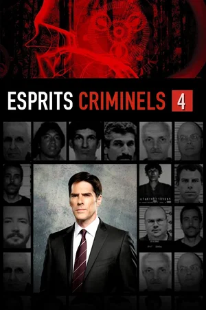 Affiche de Saison 4