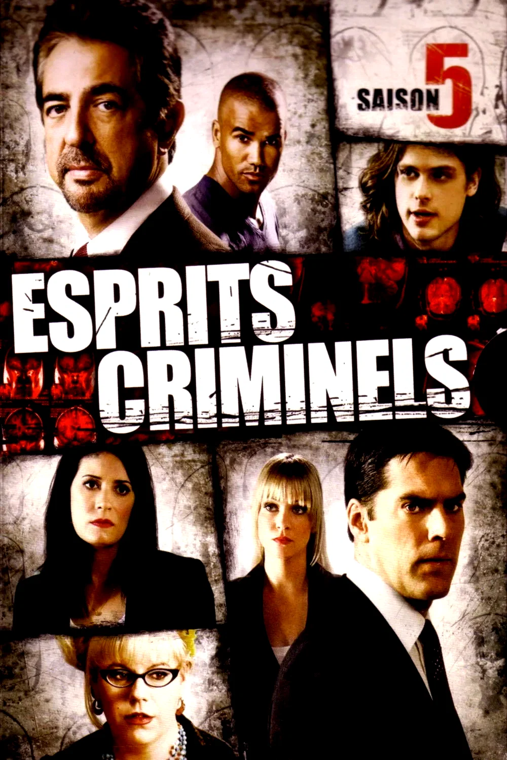 Photo de la saison 5 : Esprits criminels