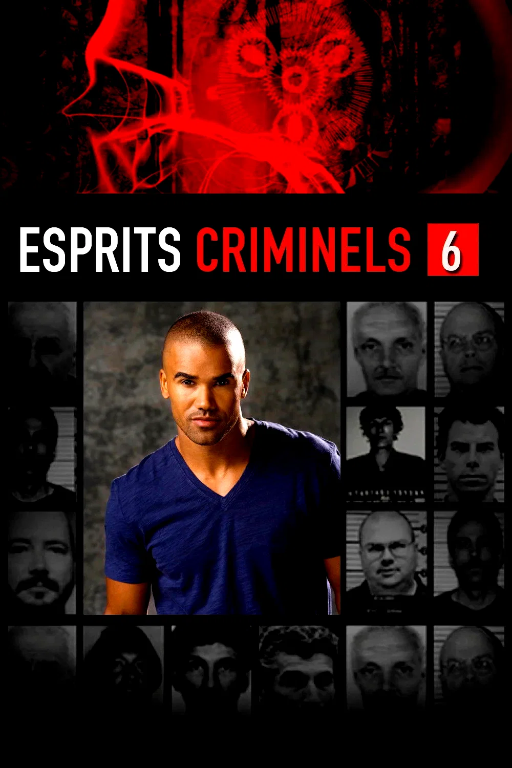 Photo de la saison 6 : Esprits criminels