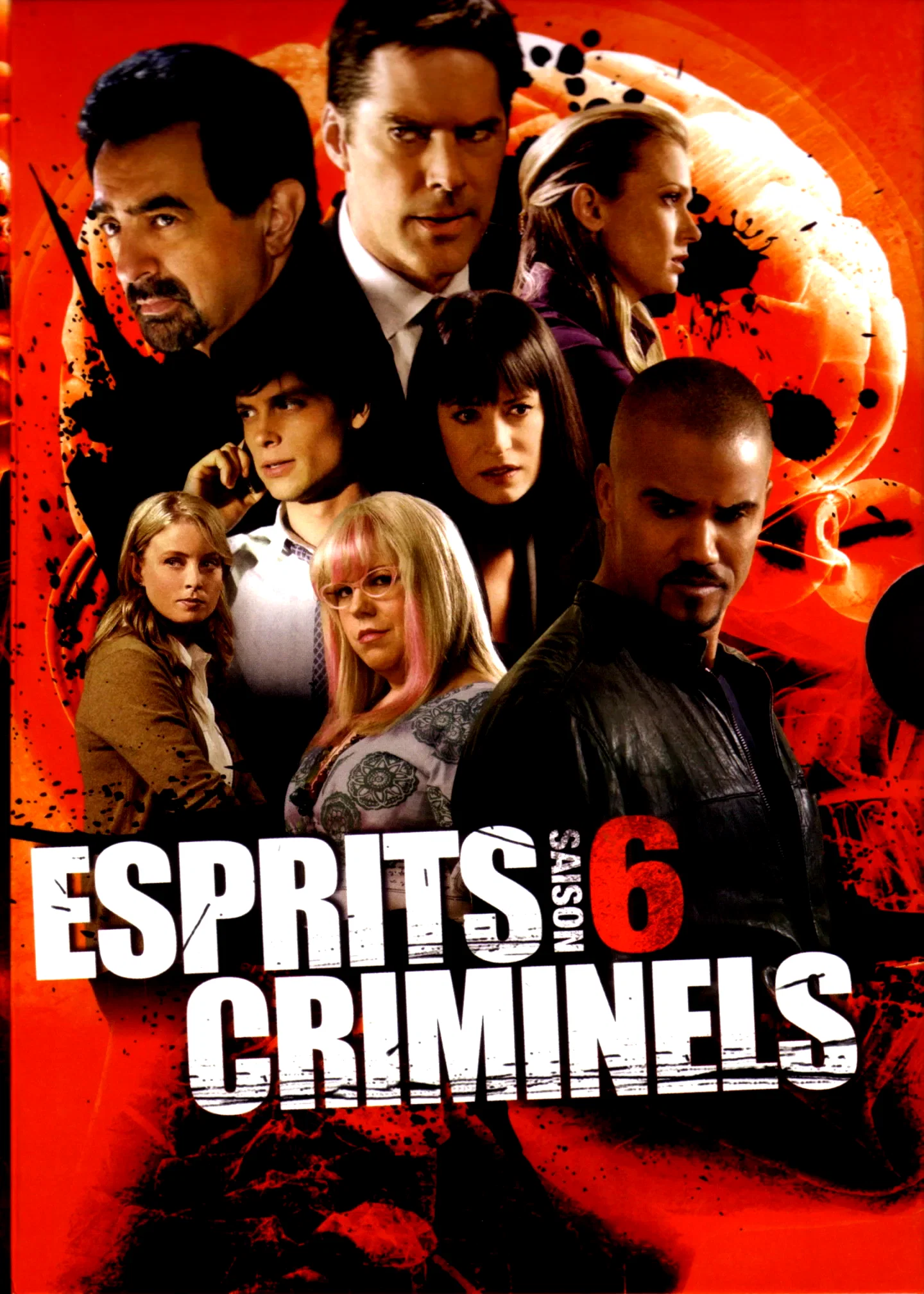 Photo de la saison 6 : Esprits criminels