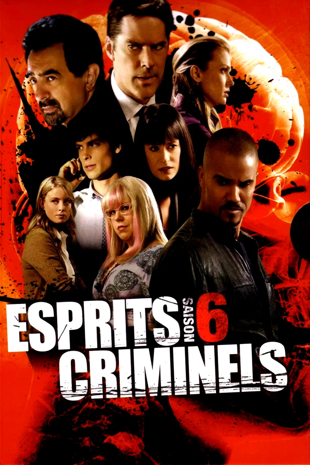 Photo de la saison 6 : Esprits criminels