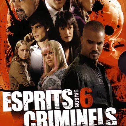 Photo de la saison 6 : Esprits criminels