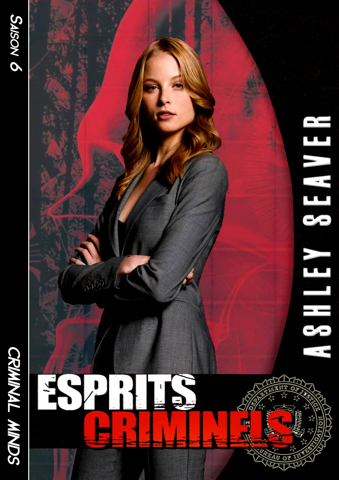 Photo de la saison 6 : Esprits criminels