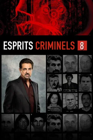 Affiche de Saison 8