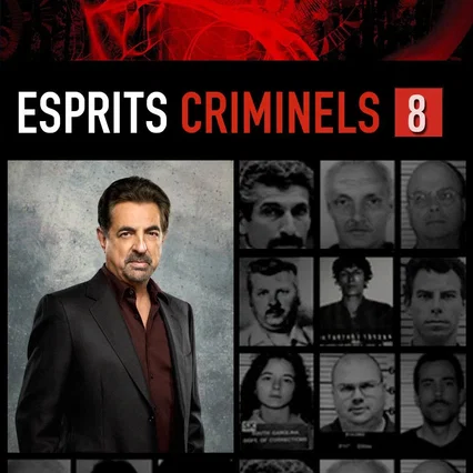 Photo de la saison 8 : Esprits criminels