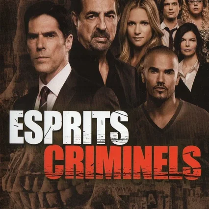 Photo de la saison 8 : Esprits criminels
