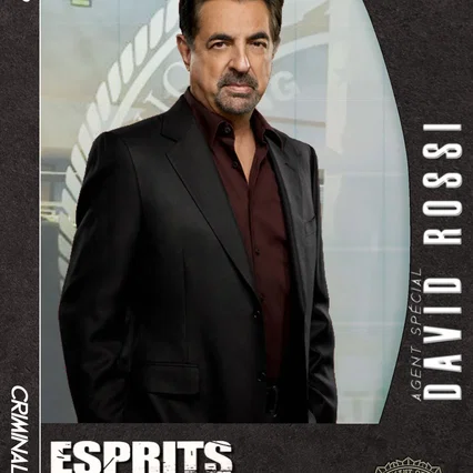 Photo de la saison 9 : Esprits criminels