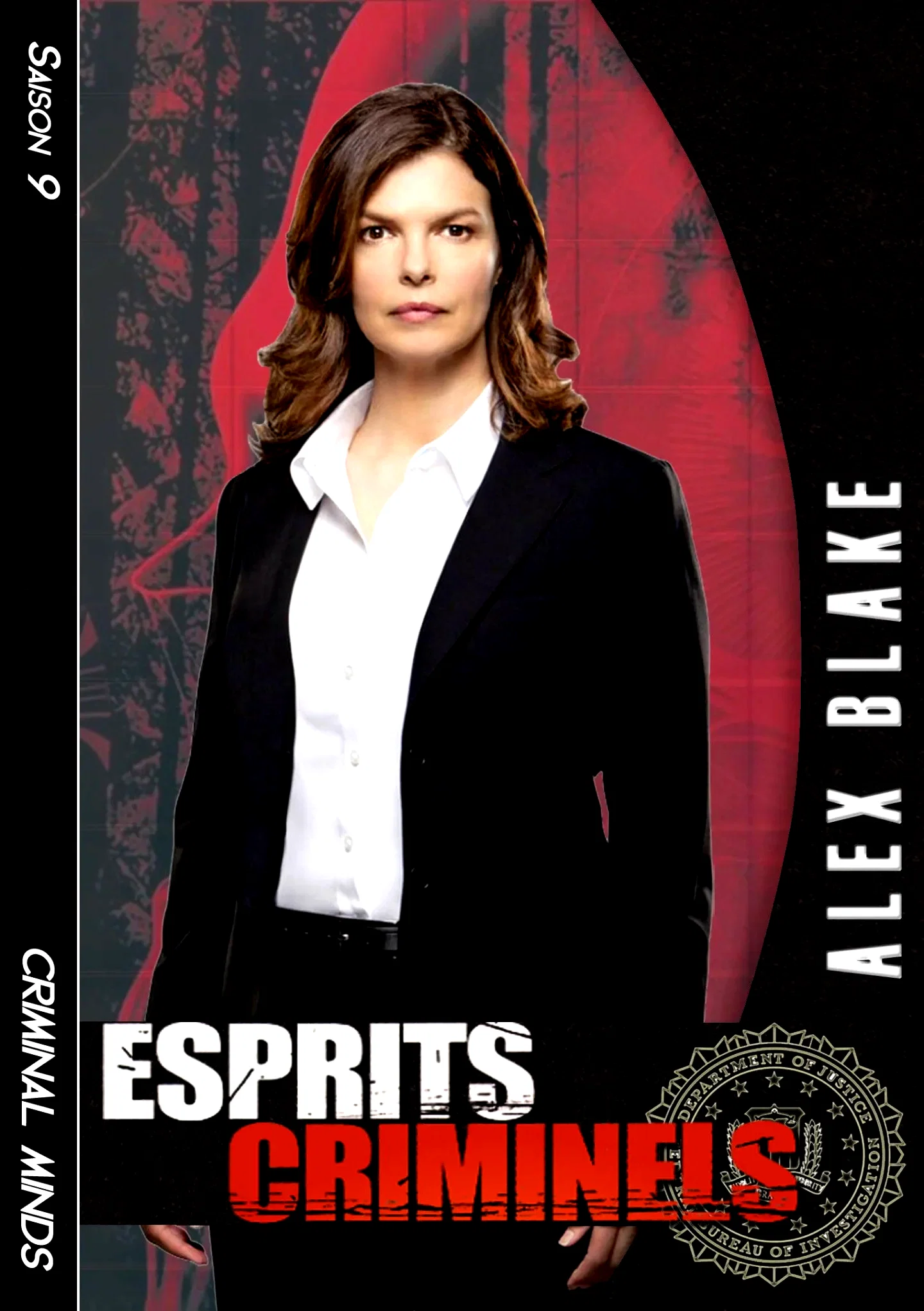 Photo de la saison 9 : Esprits criminels