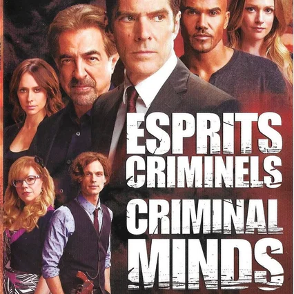 Photo de la saison 10 : Esprits criminels
