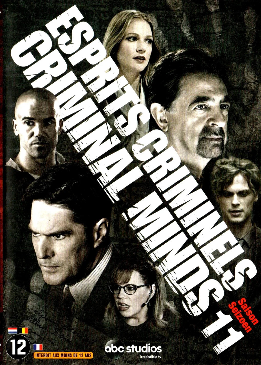 Photo de la saison 11 : Esprits criminels