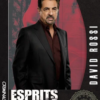 Photo de la saison 11 : Esprits criminels