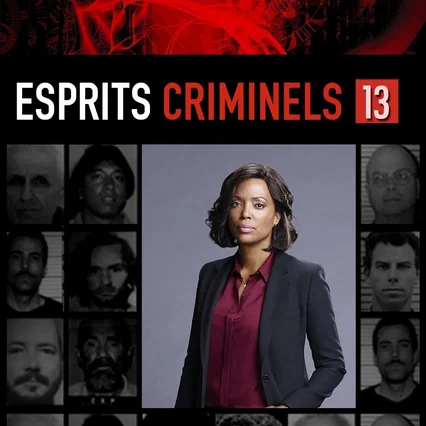 Photo de la saison 13 : Esprits criminels