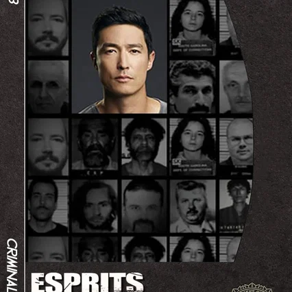 Photo de la saison 13 : Esprits criminels