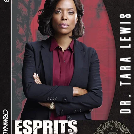 Photo de la saison 13 : Esprits criminels