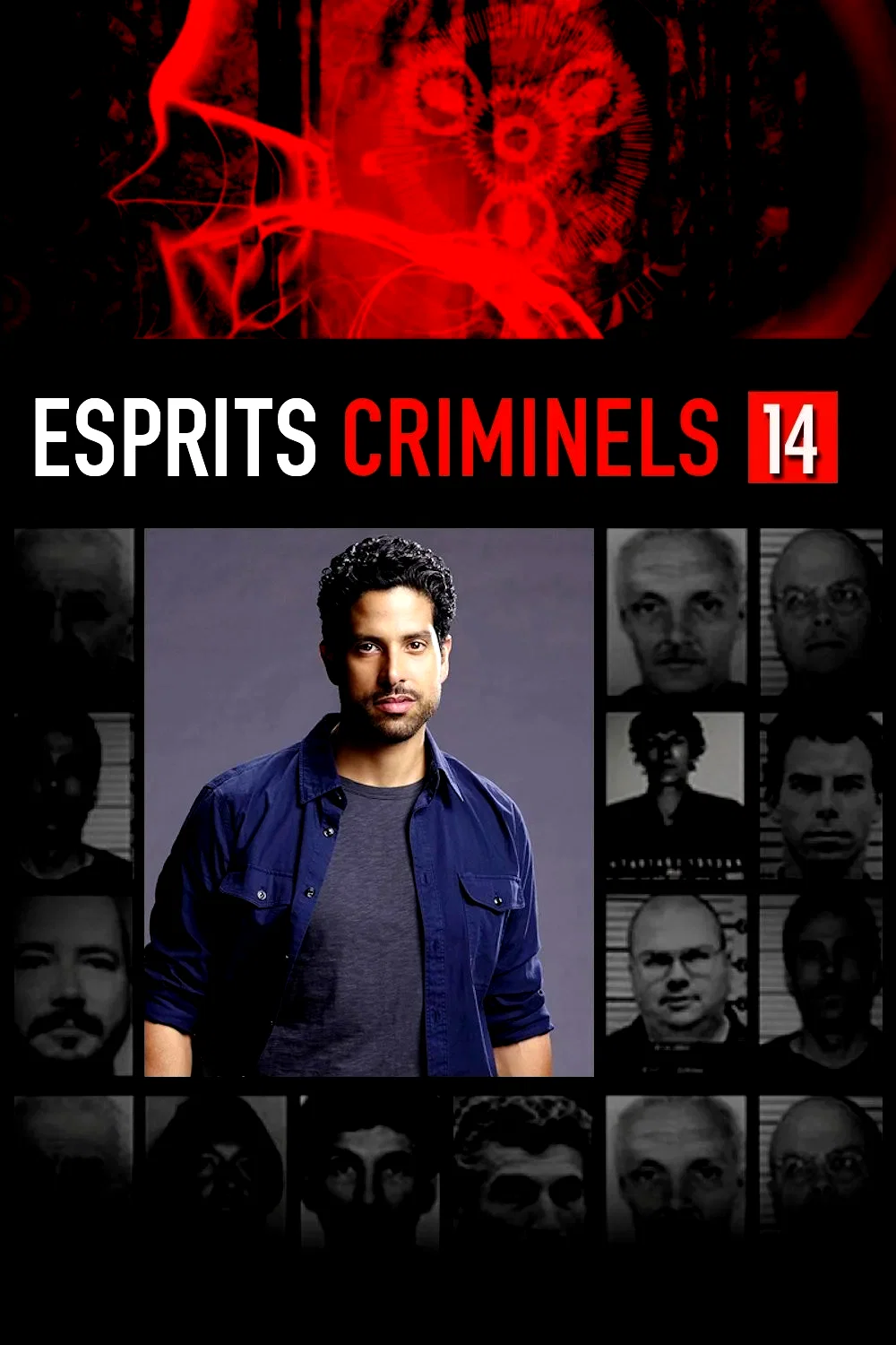 Photo de la saison 14 : Esprits criminels