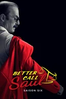 Affiche de Saison 6