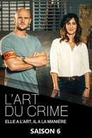 Affiche de Saison 6