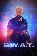 Affiche de Saison 8
