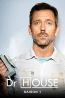 Affiche de Saison 1