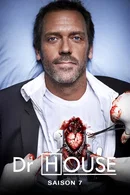 Affiche de Saison 7