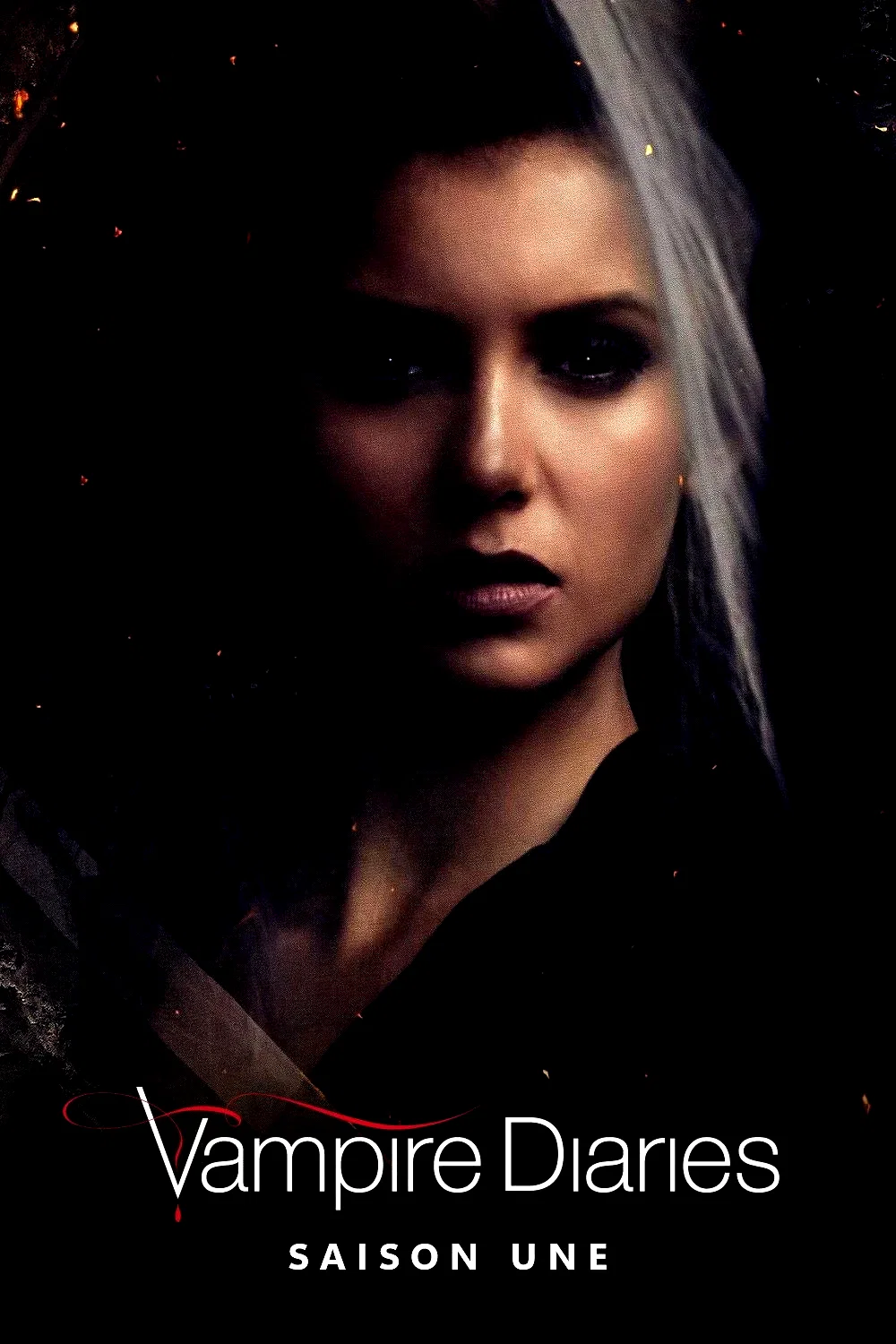 Photo de la saison 1 : Vampire Diaries