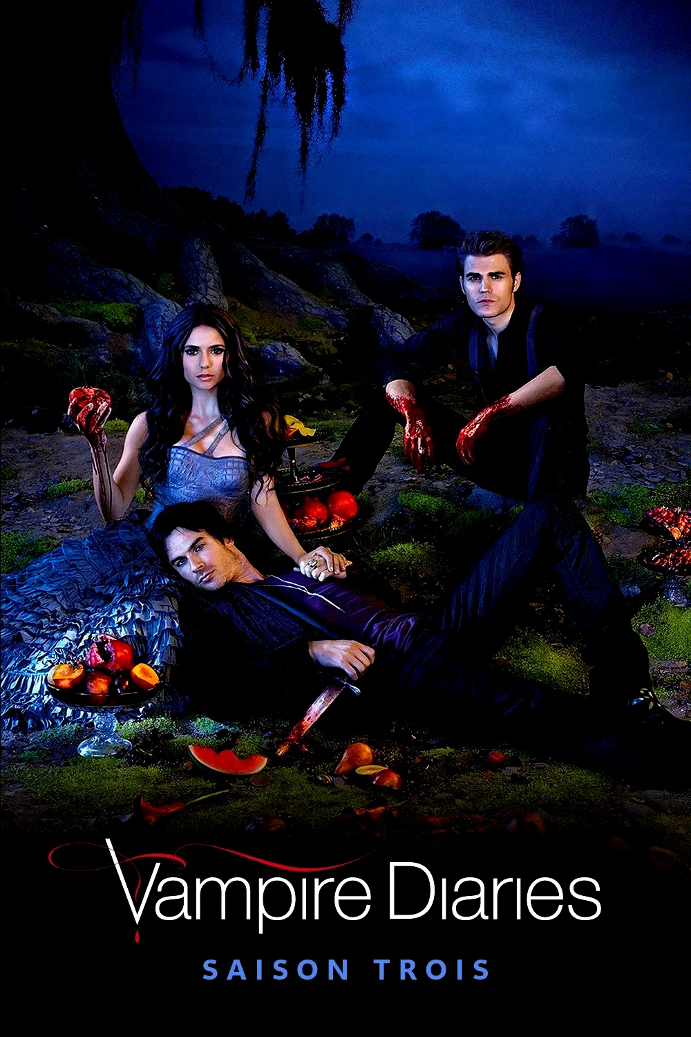 Photo de la saison 3 : Vampire Diaries