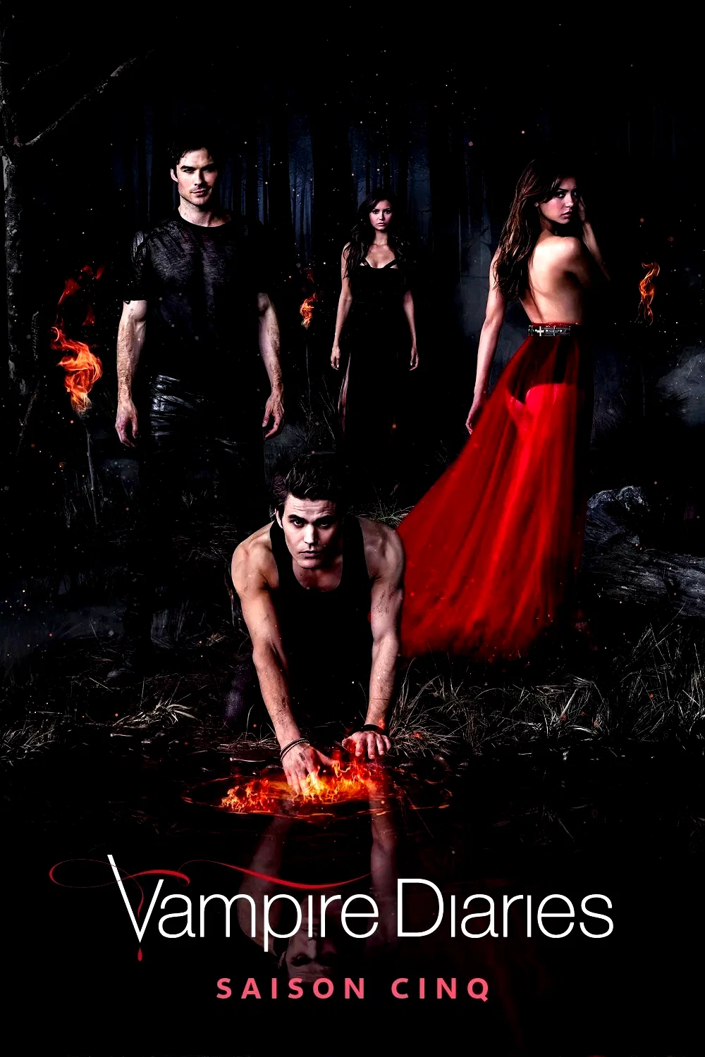 Photo de la saison 5 : Vampire Diaries