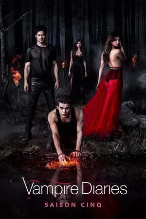 Affiche de Saison 5