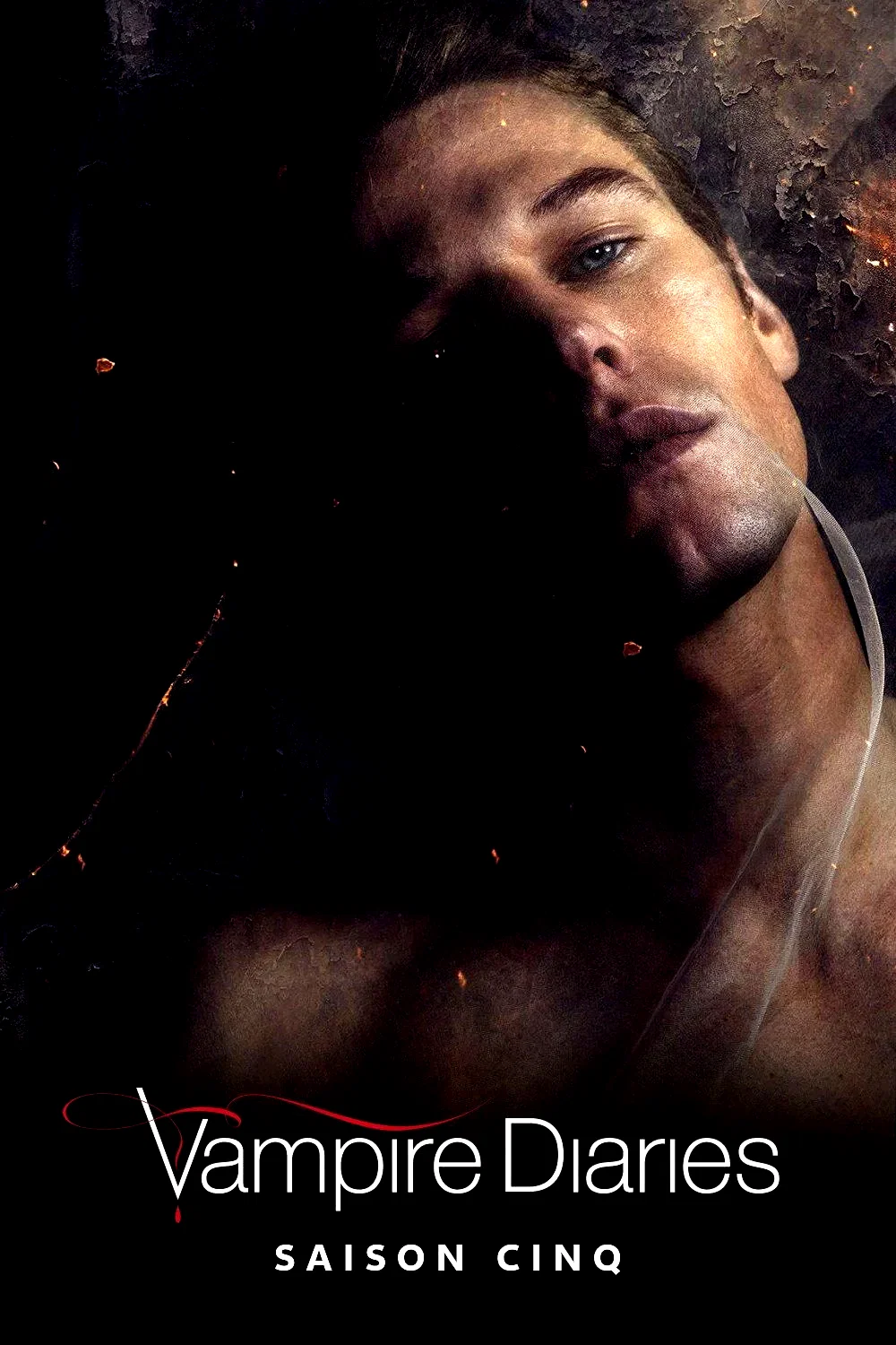 Photo de la saison 5 : Vampire Diaries