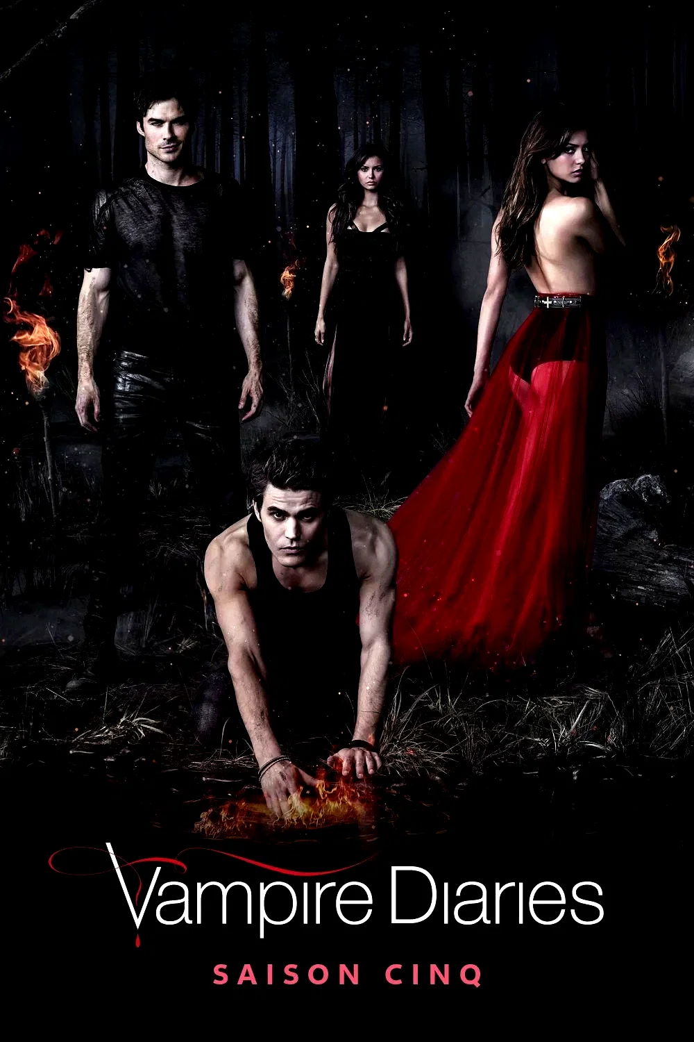 Photo de la saison 5 : Vampire Diaries